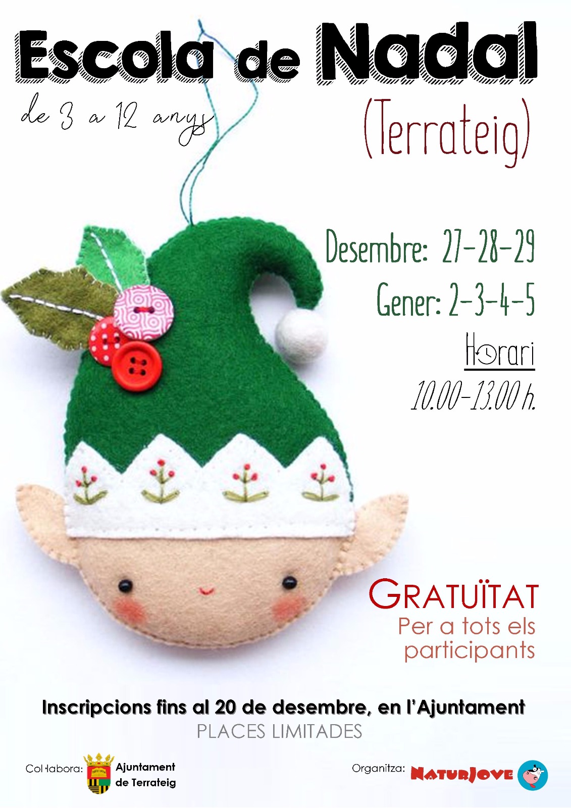 escola terrateig