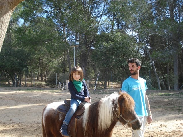 poni 11