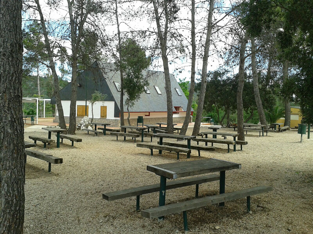 Don Bosco