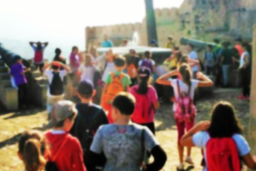 Excursions d'1 dia