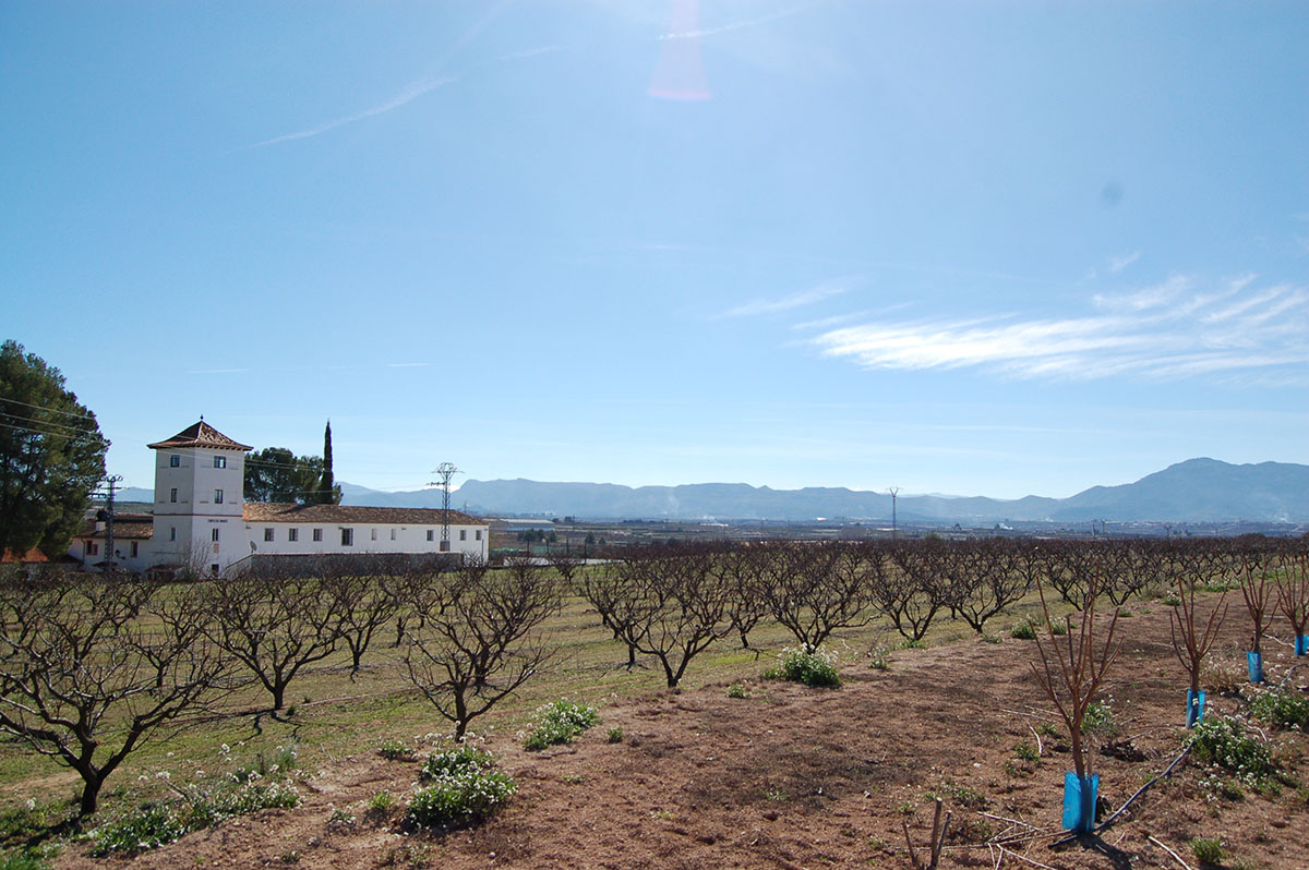 La Torreta del marqués