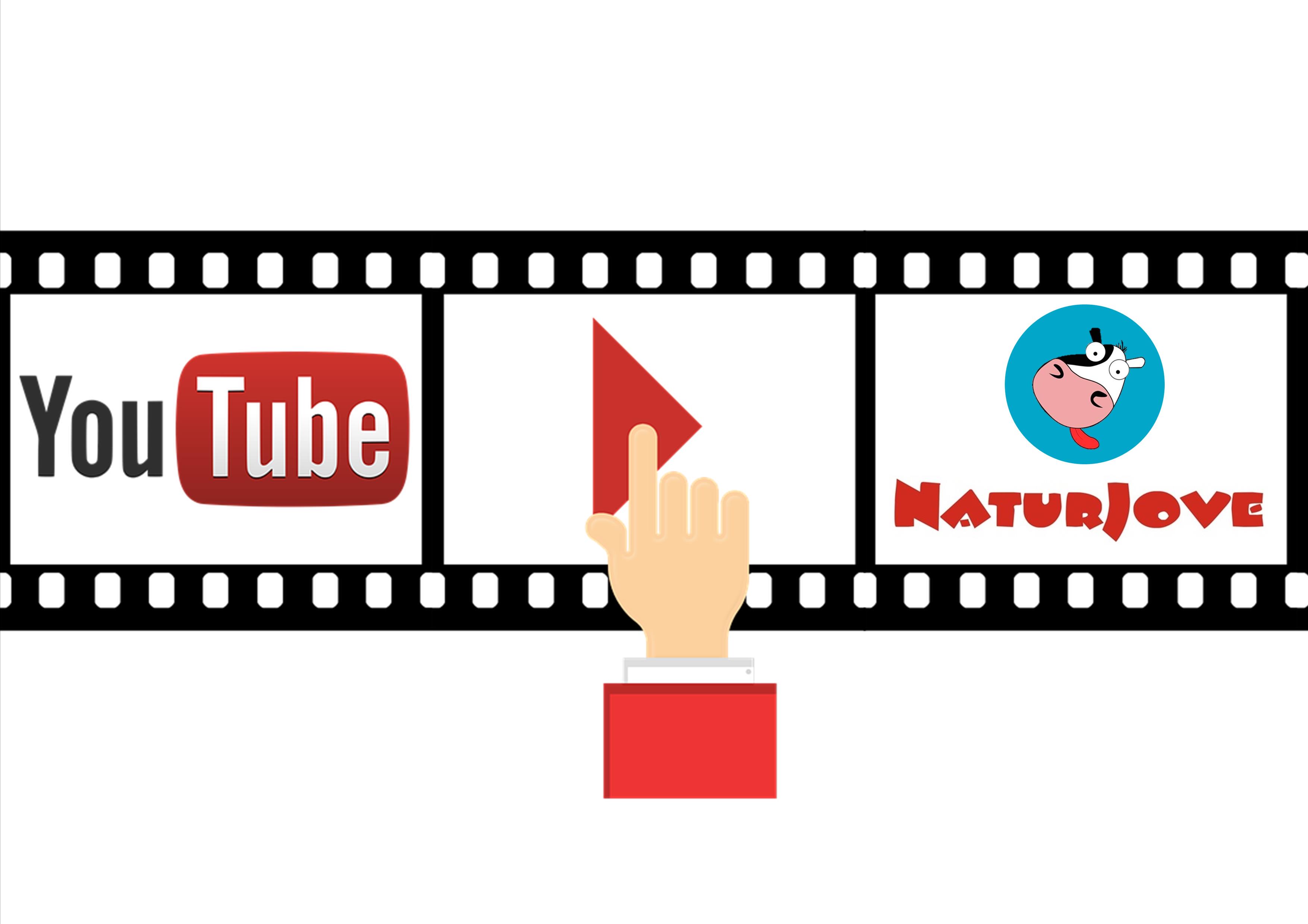 youtube